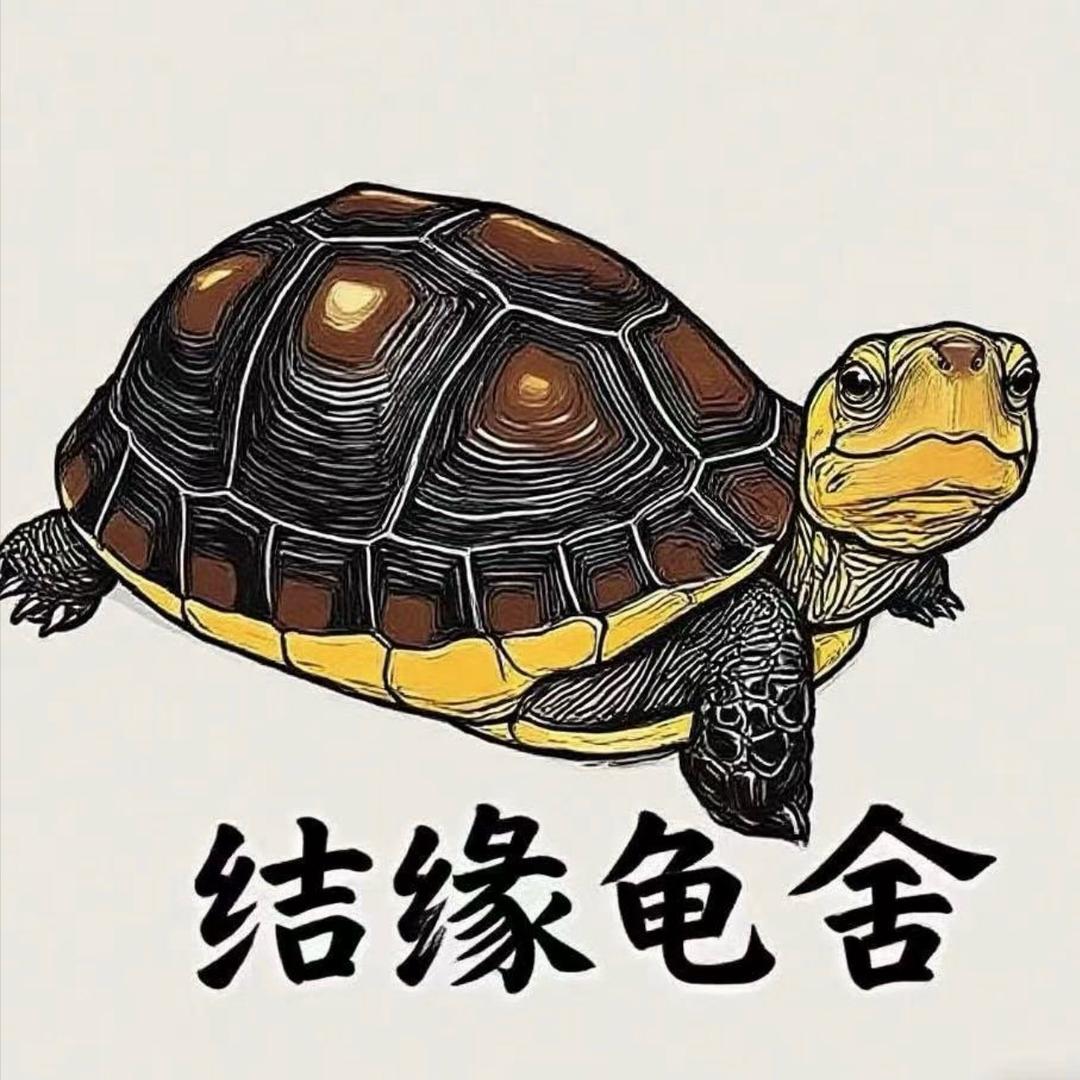 结缘龟舍【达人带货号】