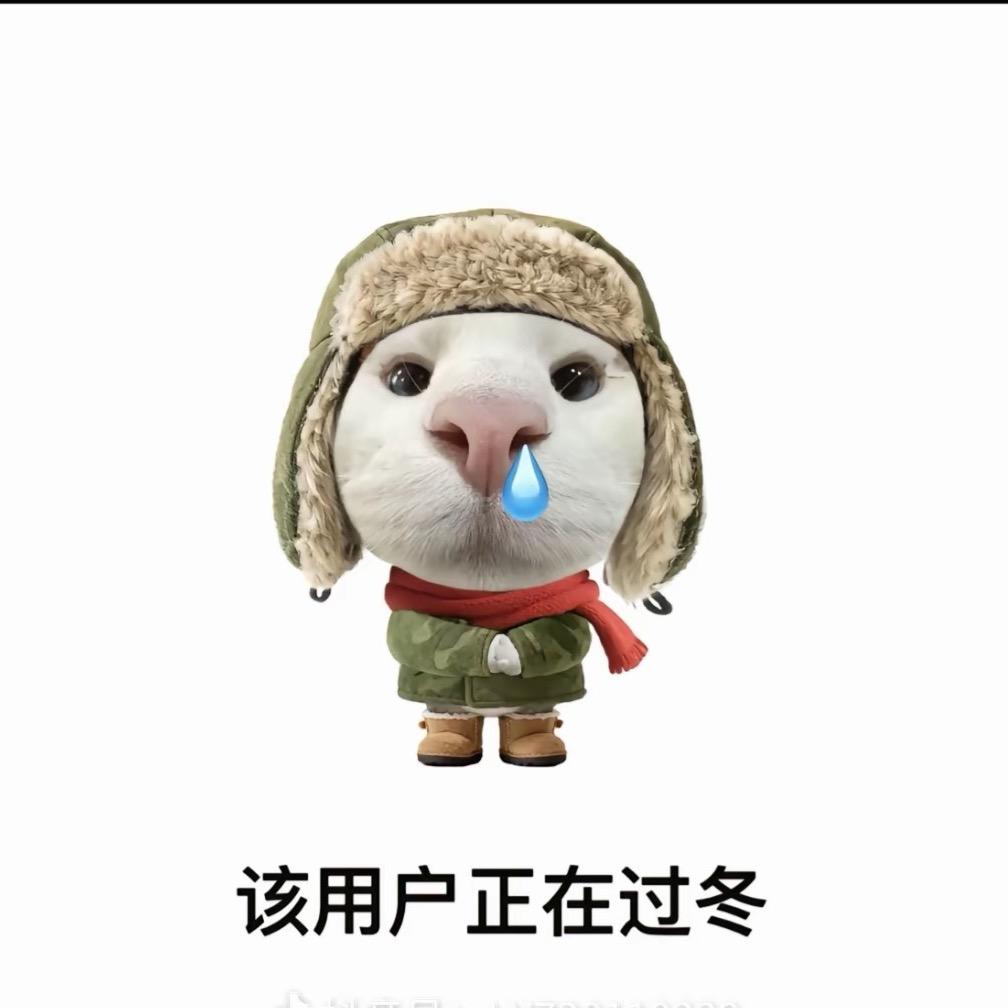 道上都叫我土豆大王🥔