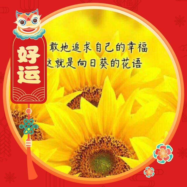 涂淇淇