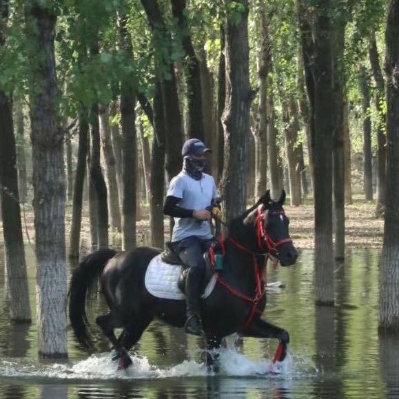 林听牧语马术俱乐部～二涛