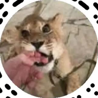 有主