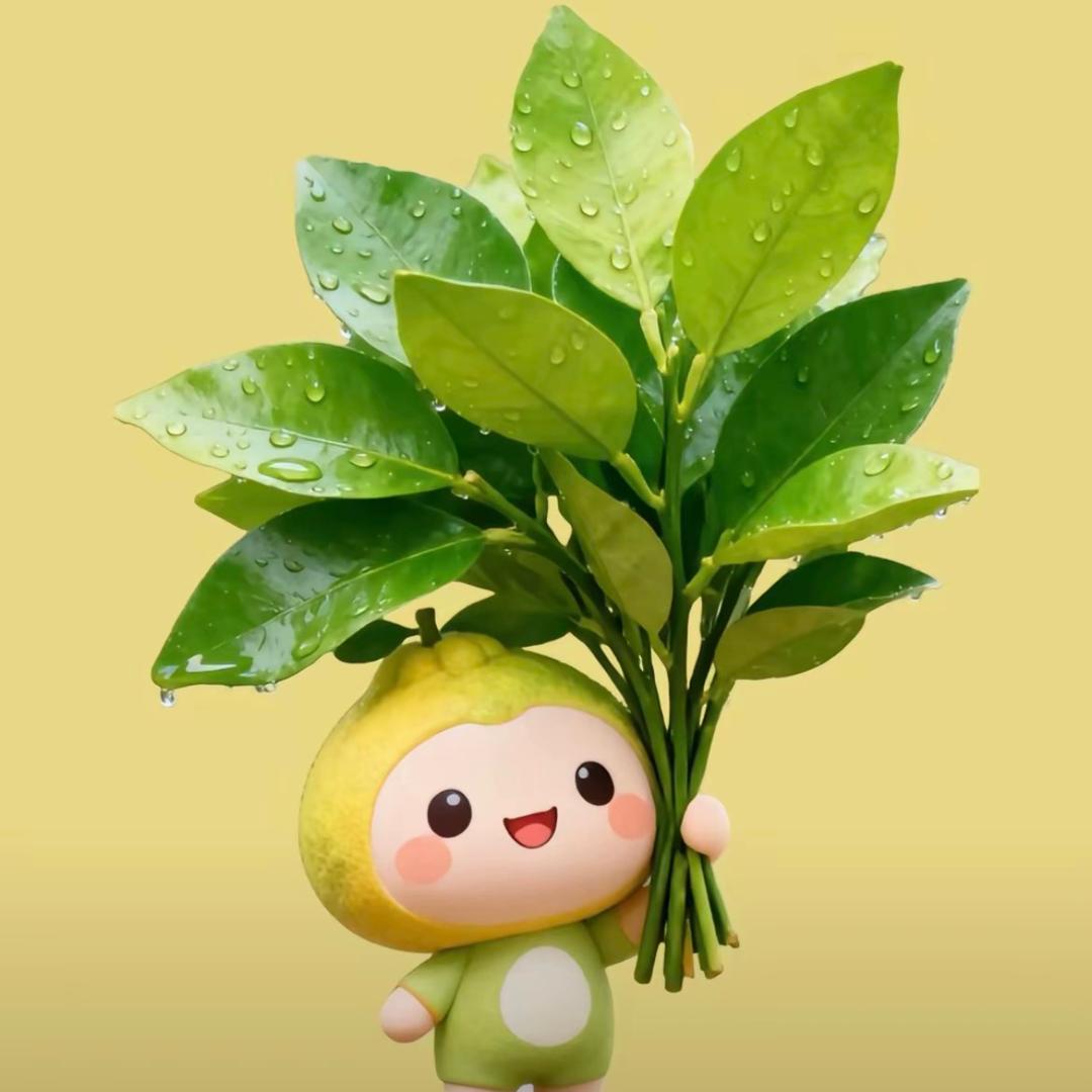 好柿花生