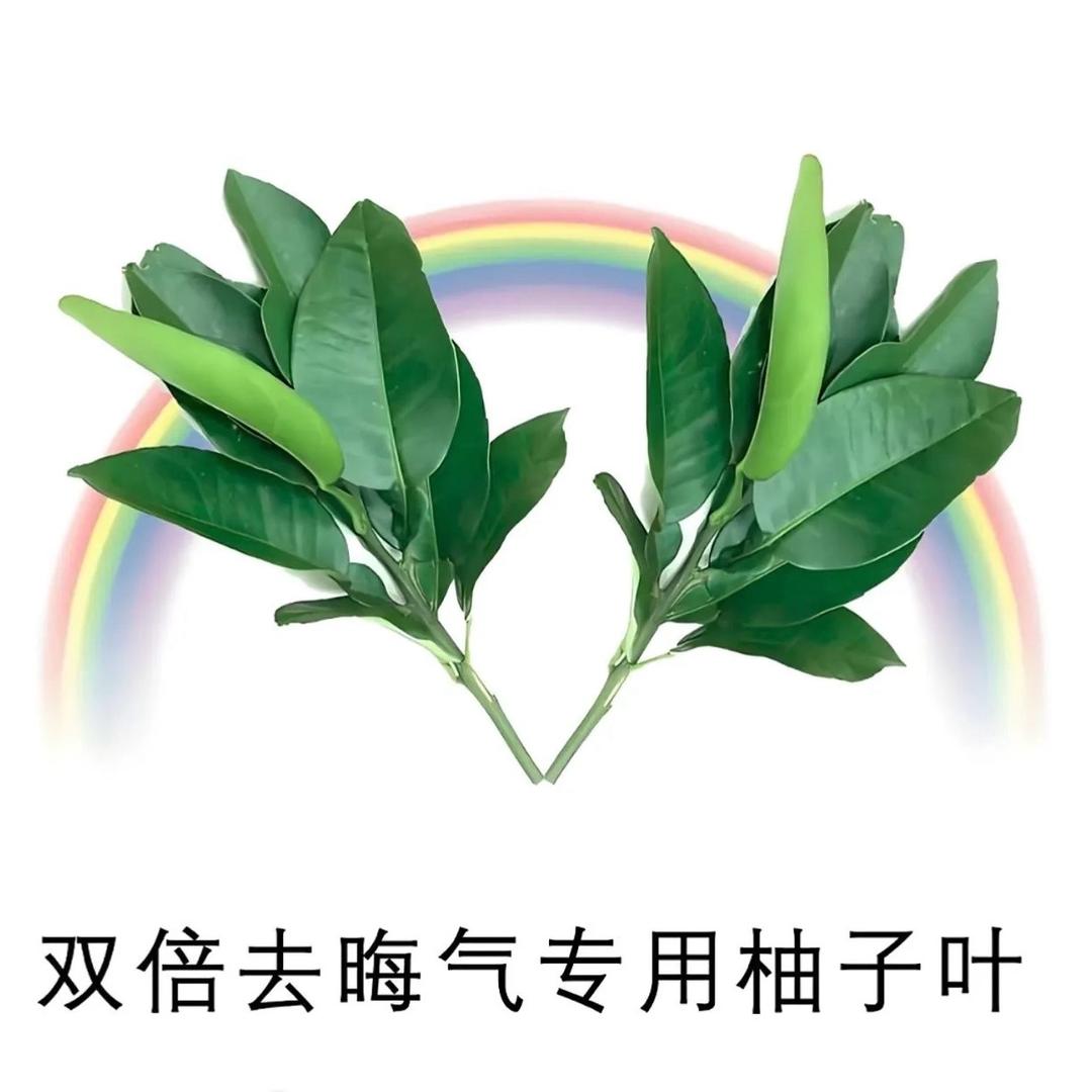 红茶