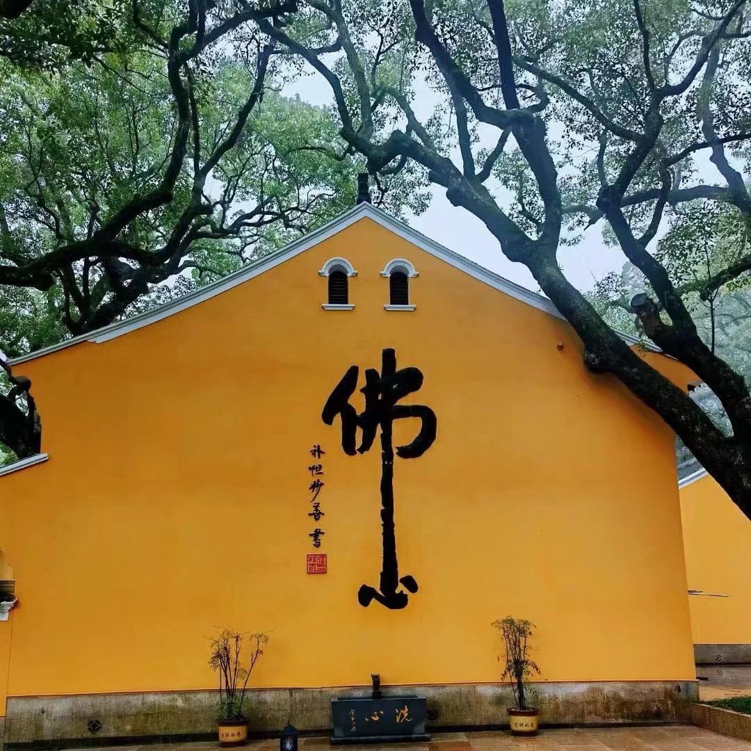 魏府神童：桃花宫