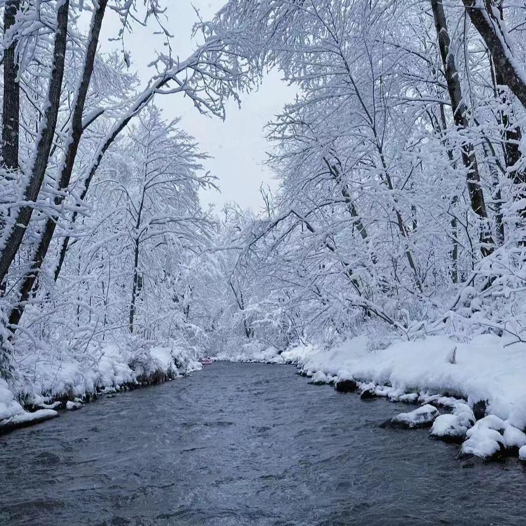 长白山西坡原始生态第一漂