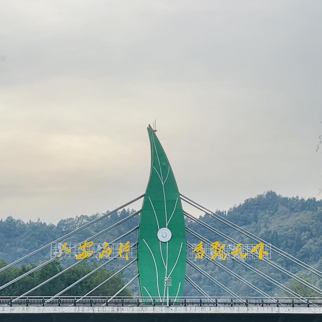 大别山思恩六安思恩电子商务有限公司茶叶专卖店