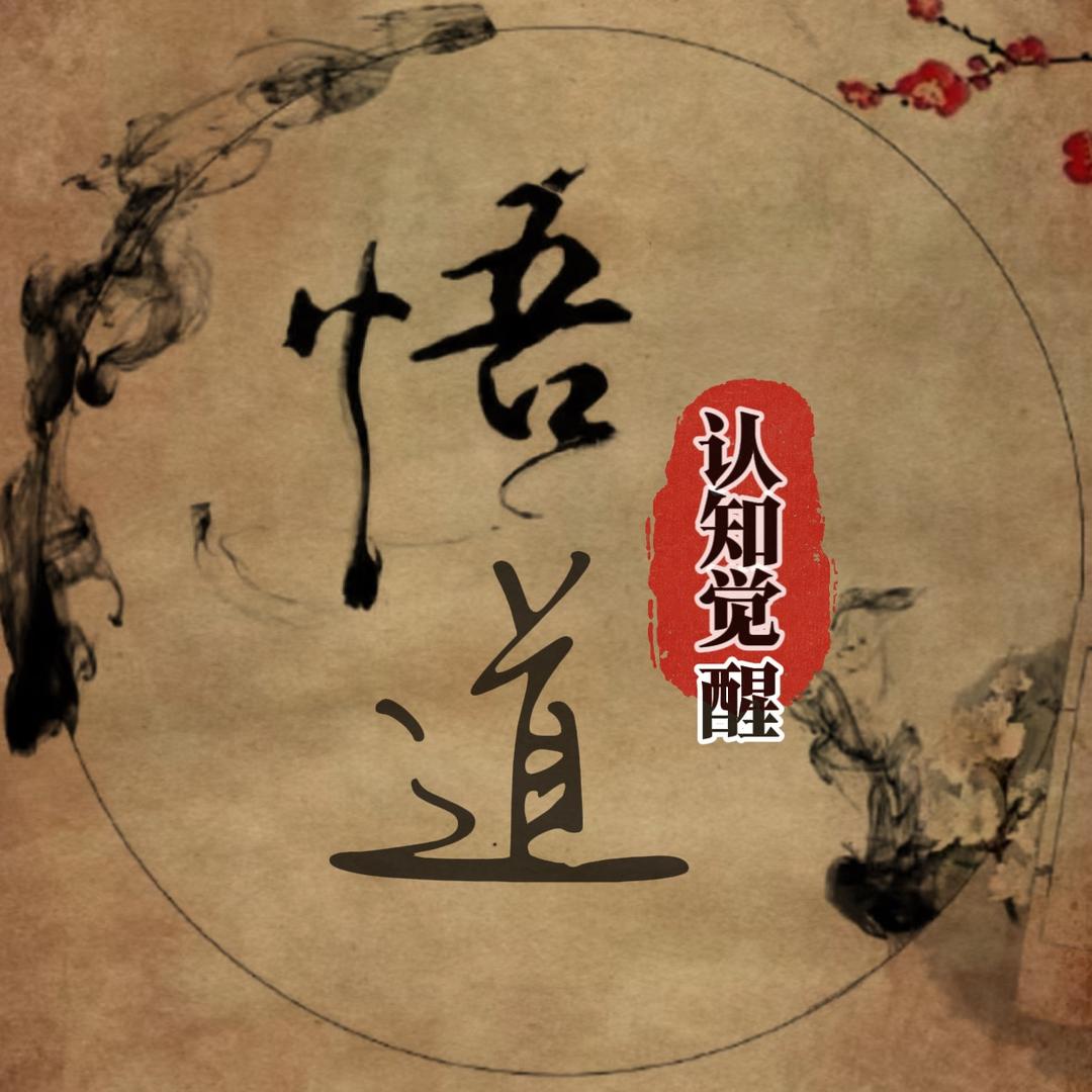 悟了