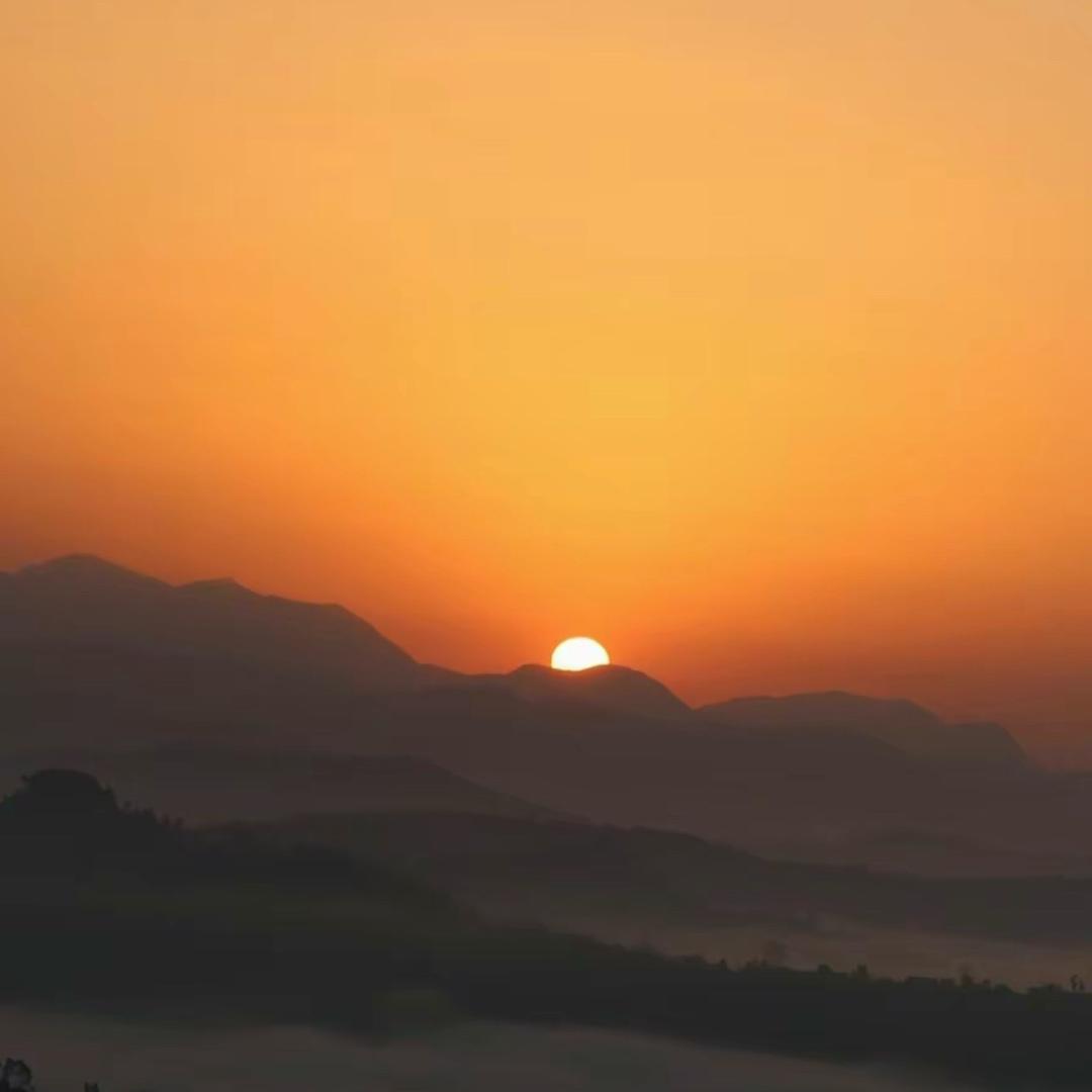 麒麟小王子
