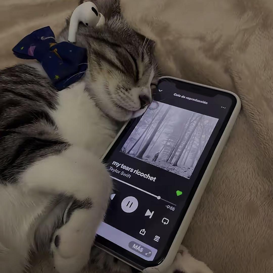 森帝驰影音数码