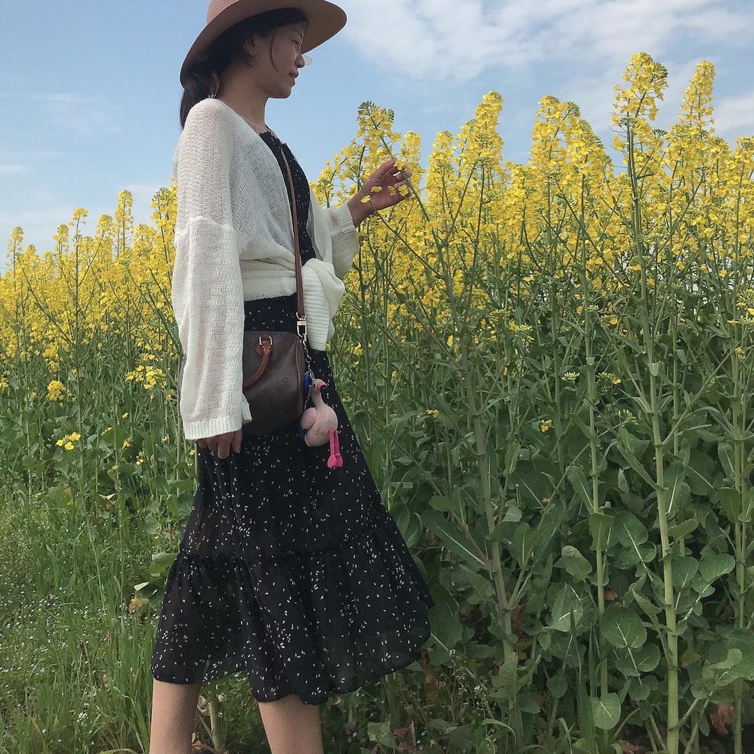 林妹妹