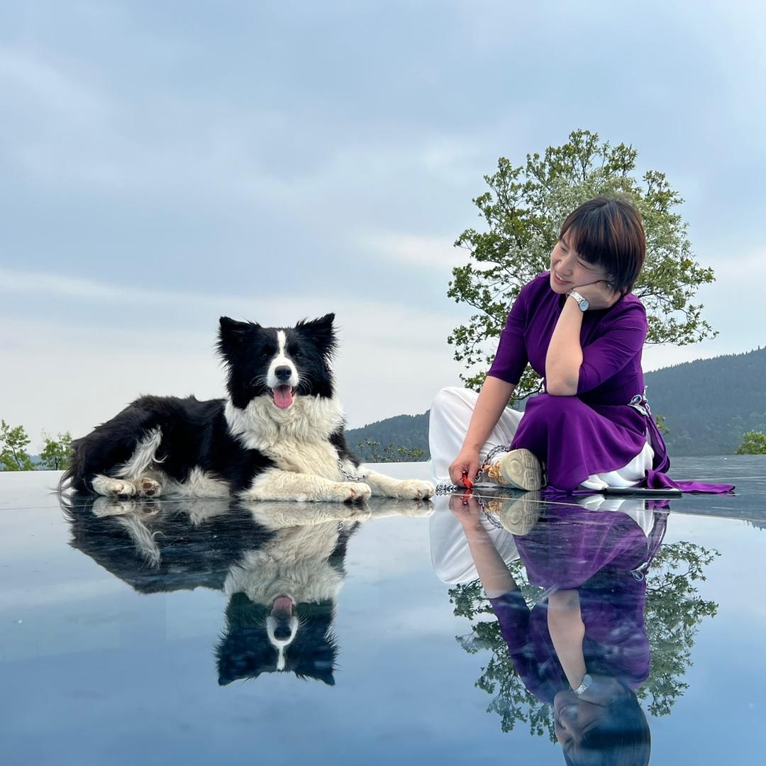 古蔺县捷顺成隆门窗建材经营部