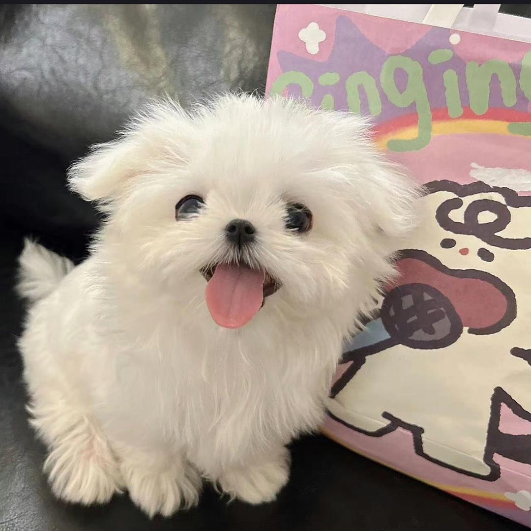 诗诗早上好@抖音