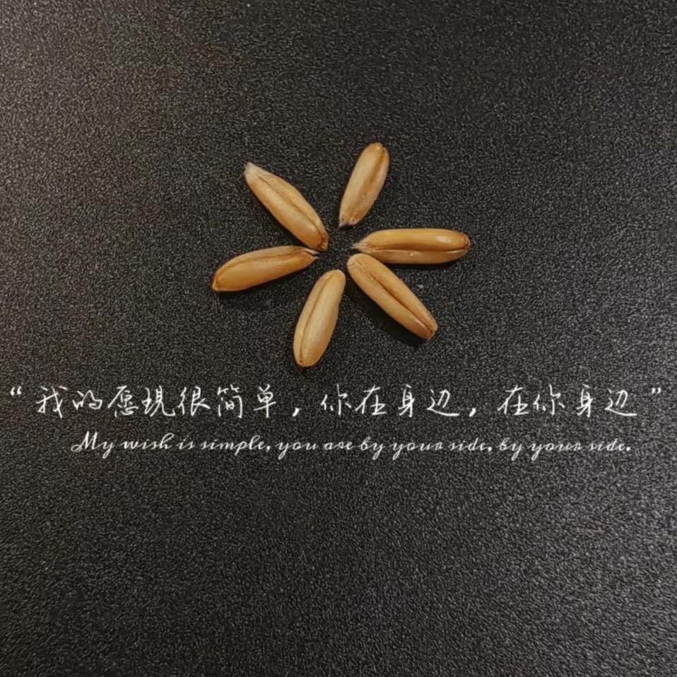 做你以为的浪子