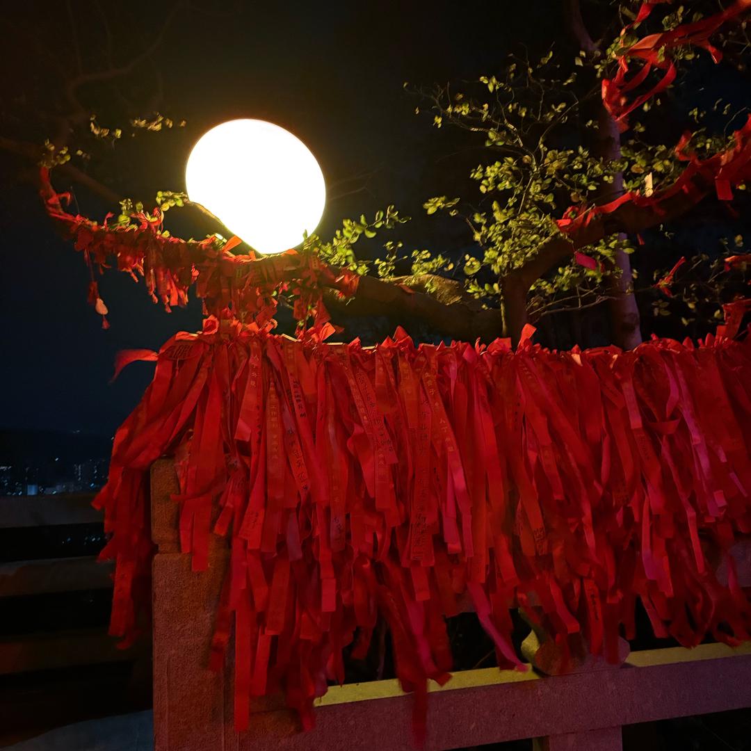 庆迪粉-小莉