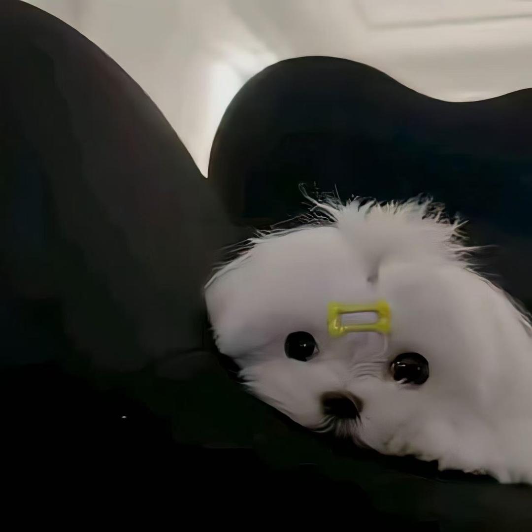 陈宁