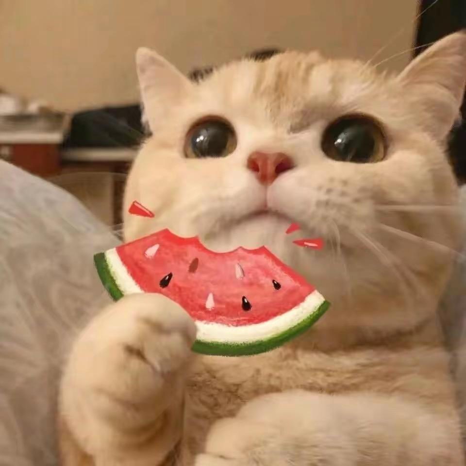 有好剧