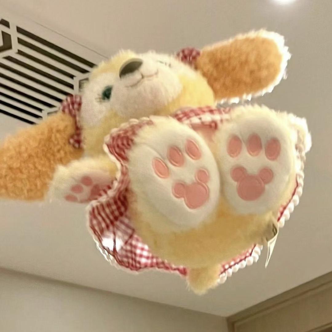 懵懵懵瑶