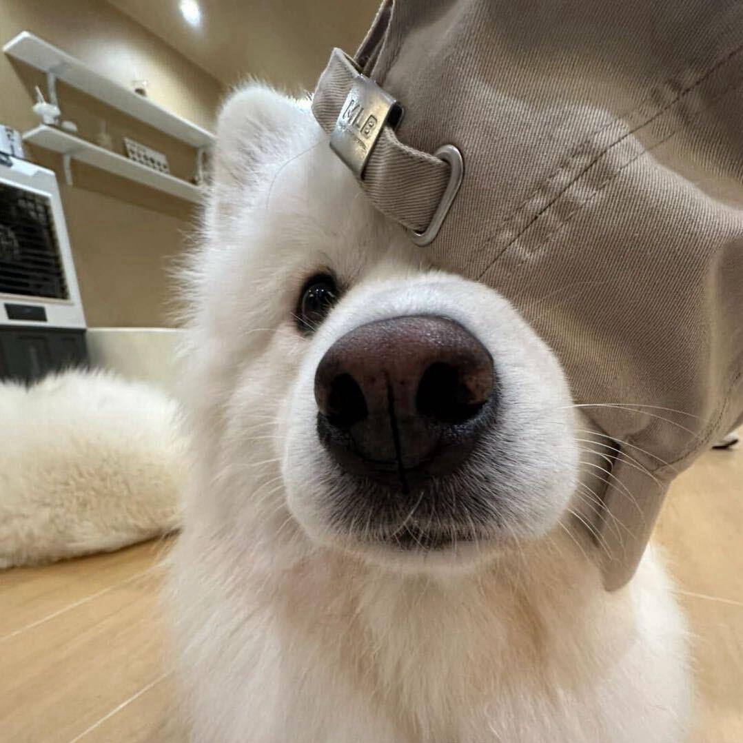不想睡觉