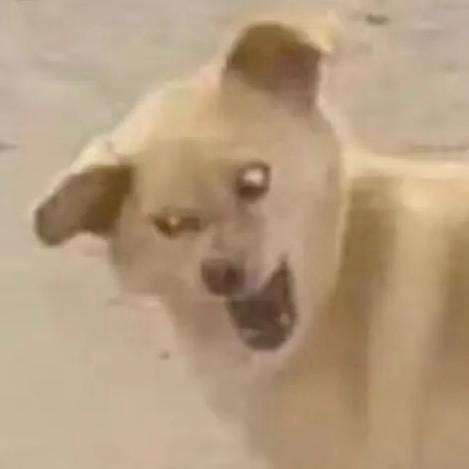 猛踹瘸子那条好腿