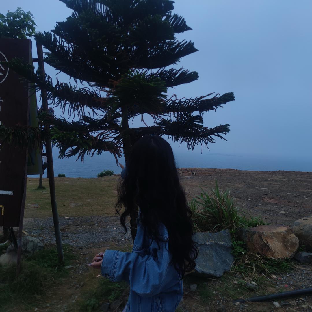日天的荀吱吱呦