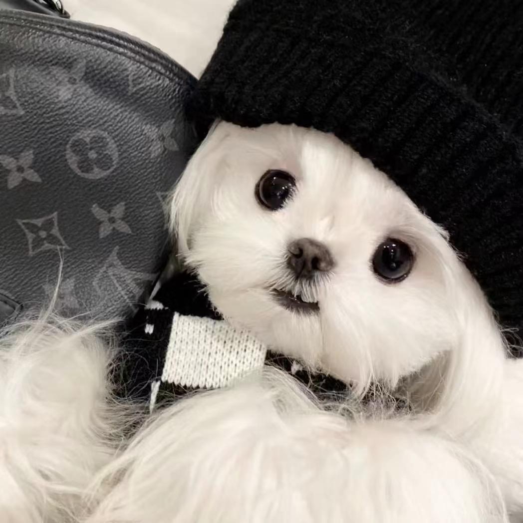 安.