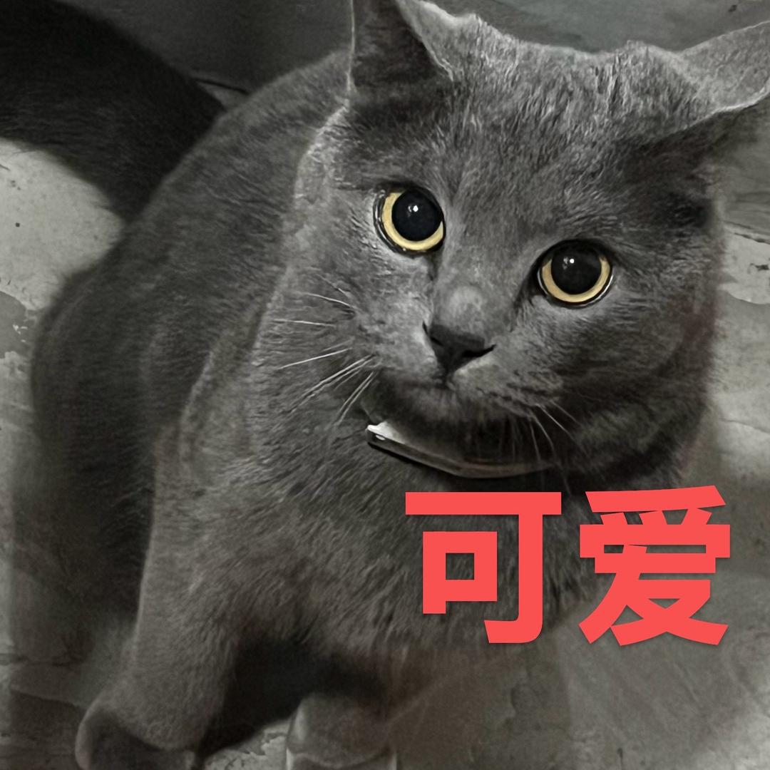 唐西十八岁