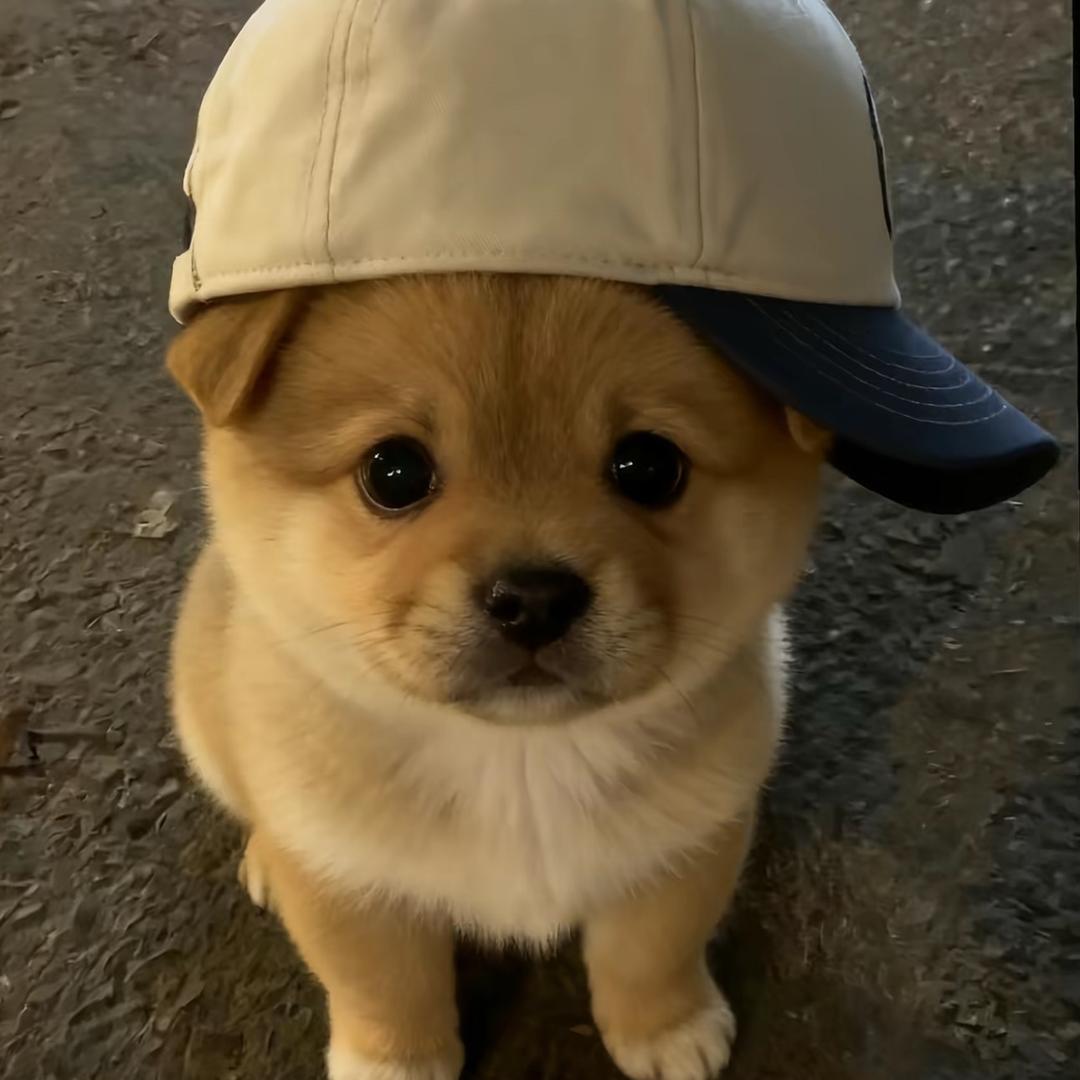 雾子