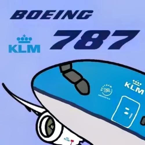 半个787质检员