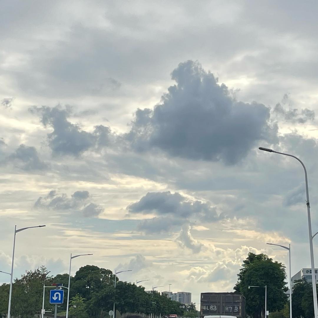 我在桥路旁迷了路