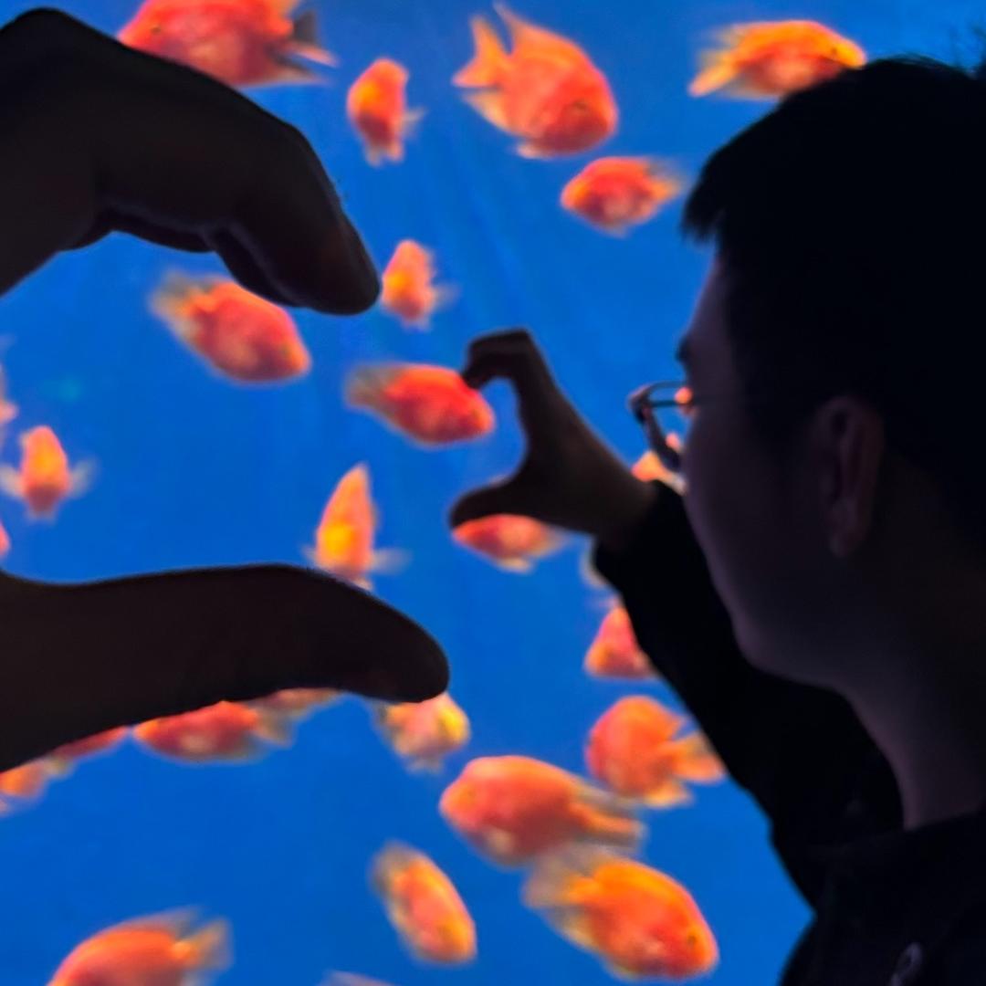 耶耶耶开心最重要