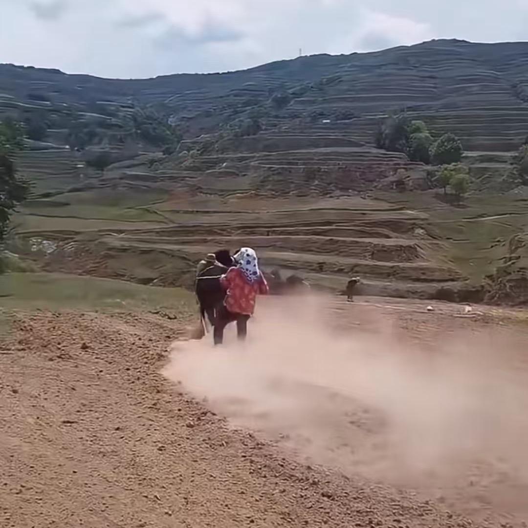 老娘，就不信