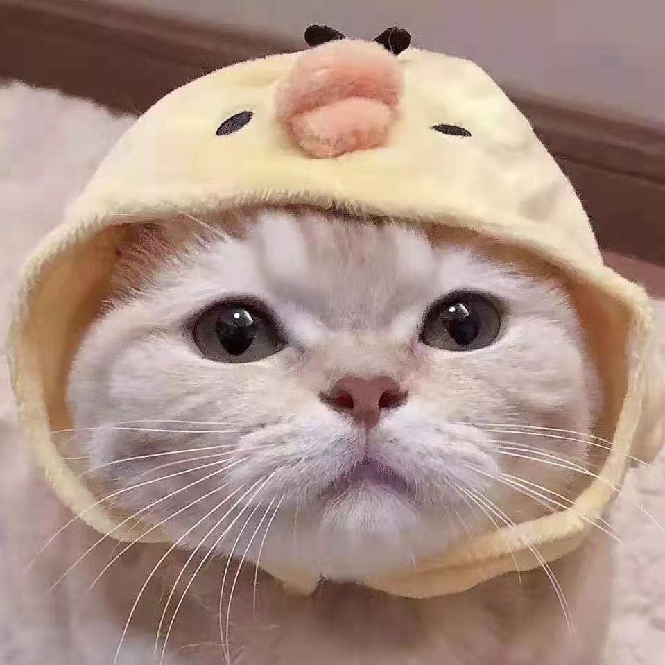 锚玖