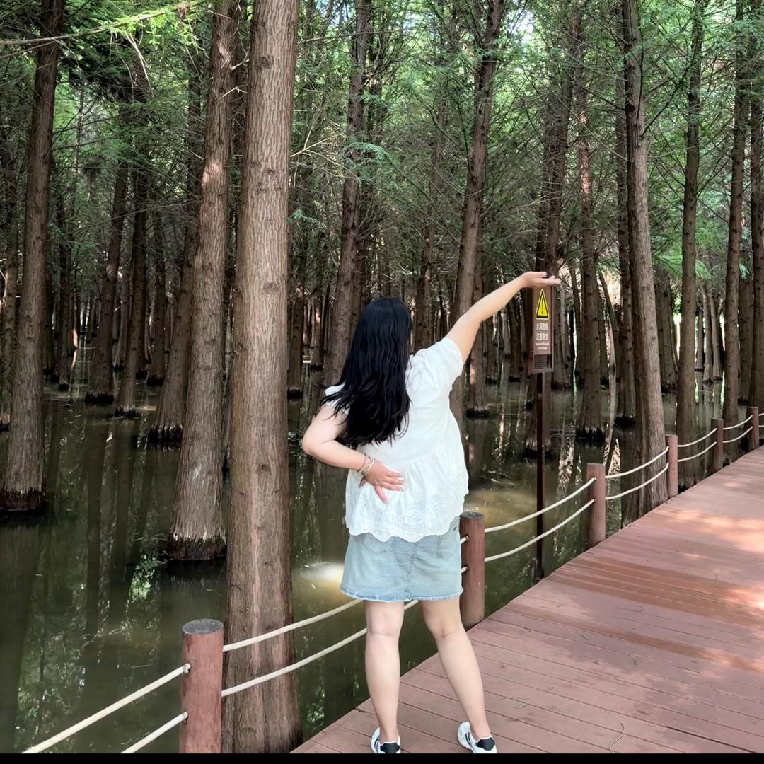 蜡笔没了小新 🌸