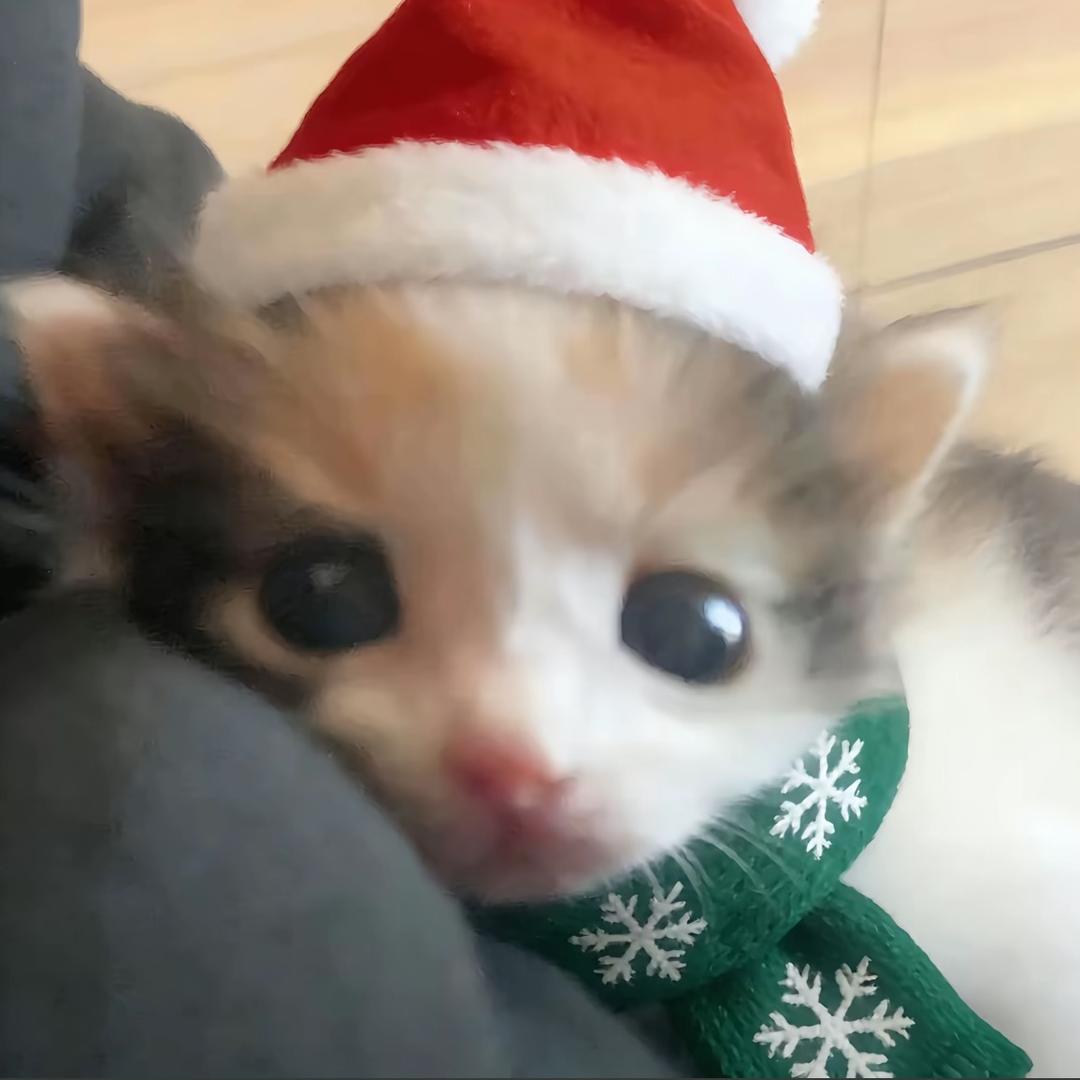小u伤