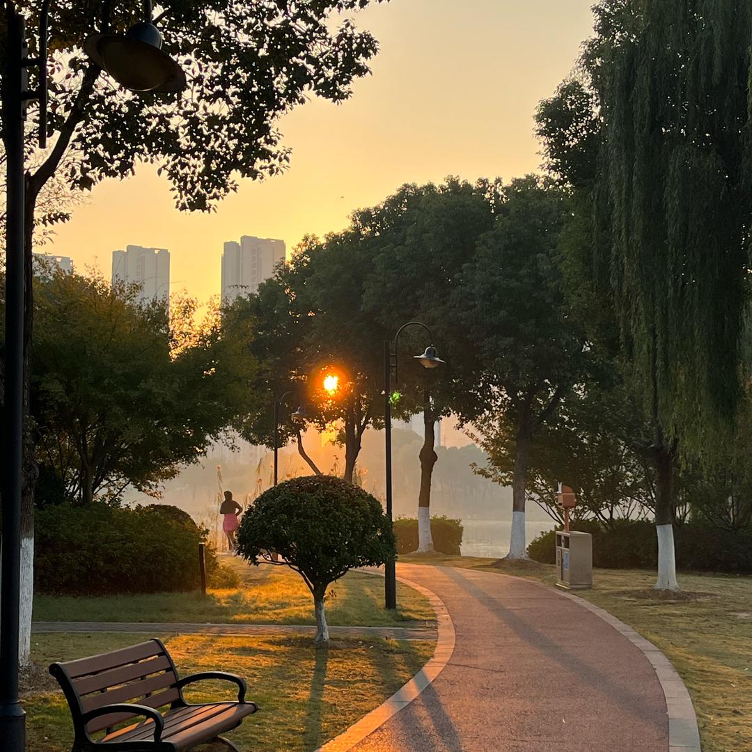 🏡🔫🔫诺颜🕹