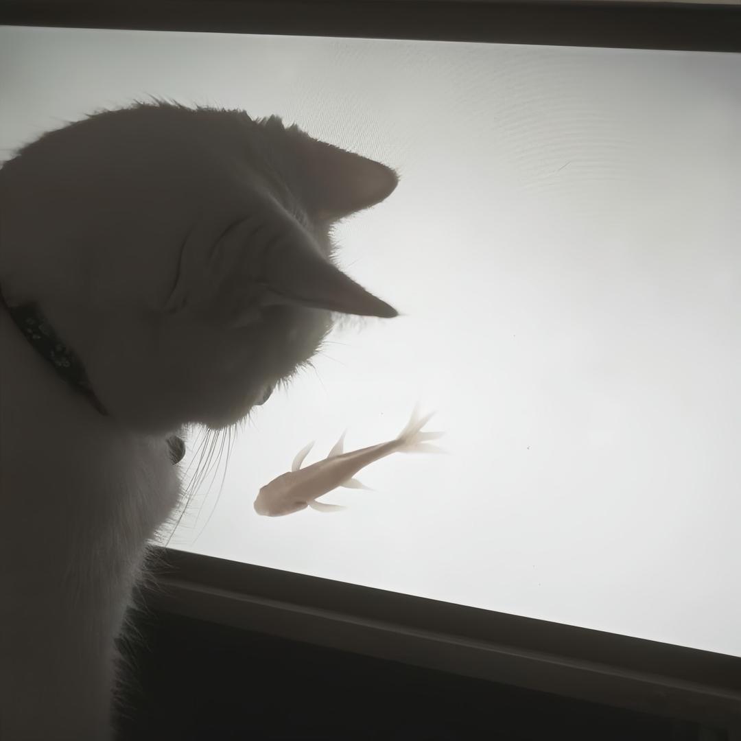 1106
