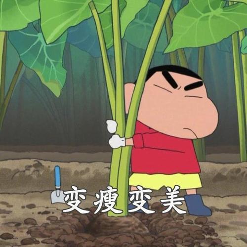 明媚初芯