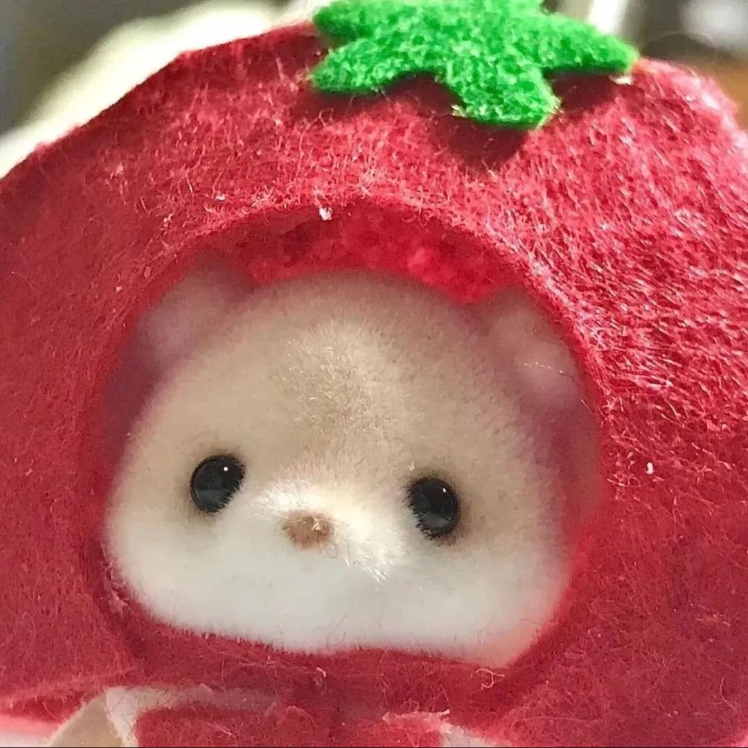 同花顺.