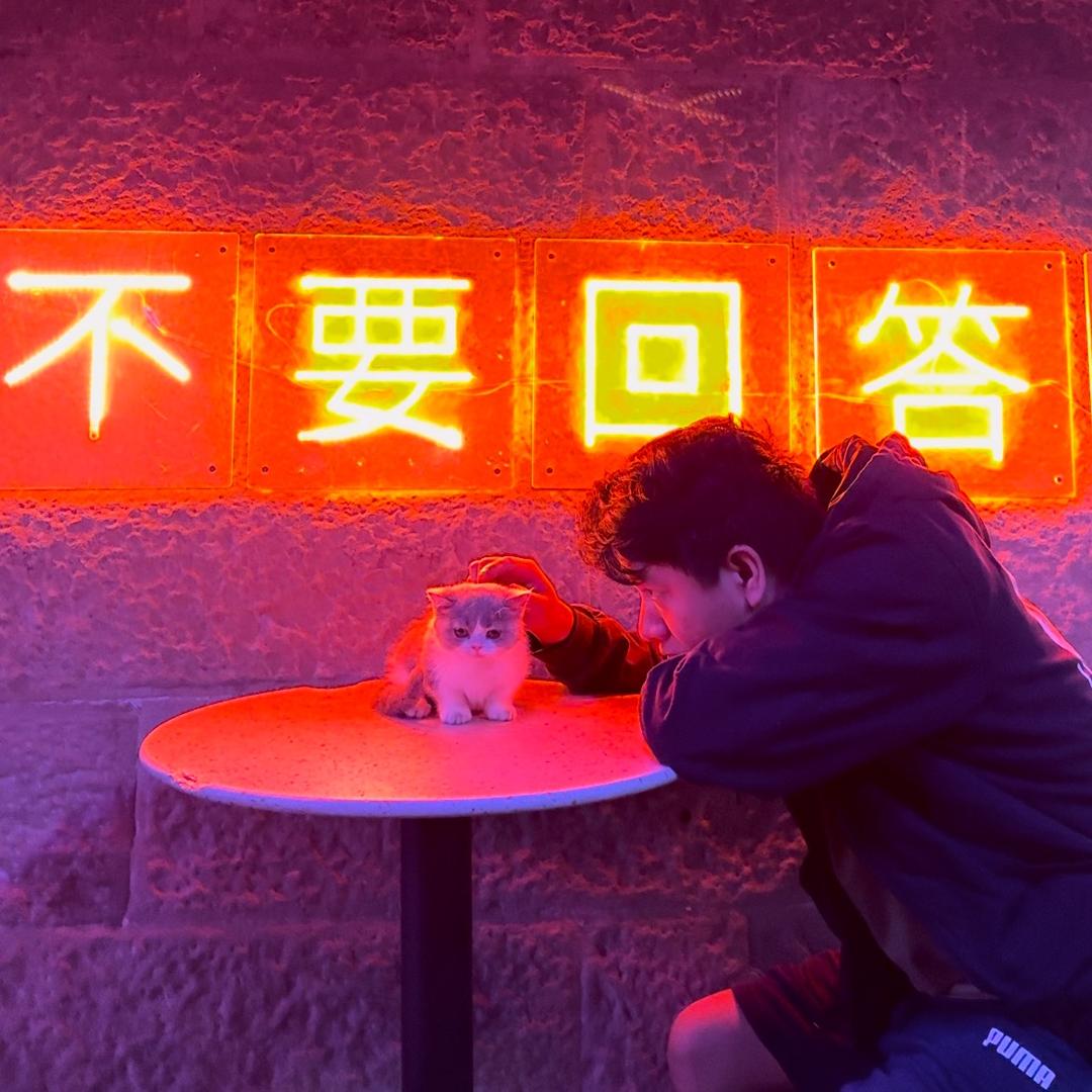 山城小三花儿她爹