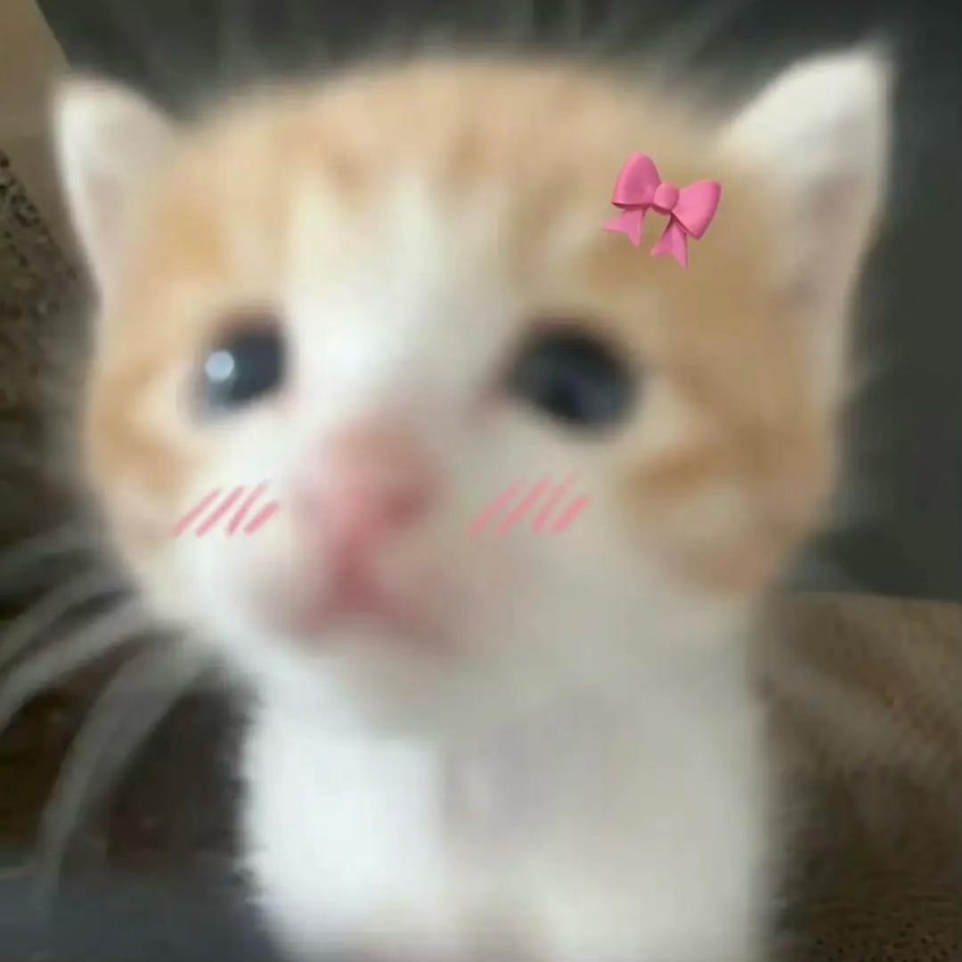 临舟^（求推荐版。）
