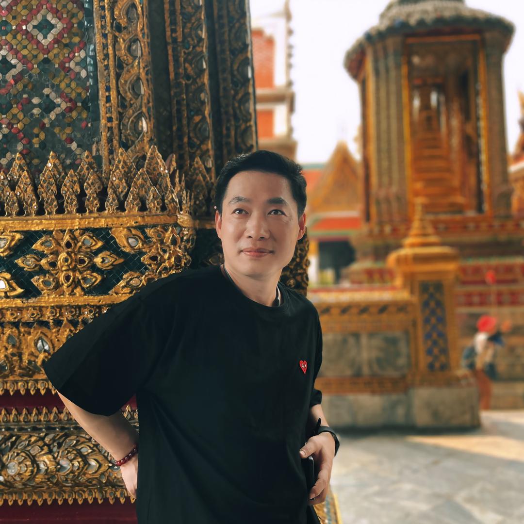 停一，猫咪与书