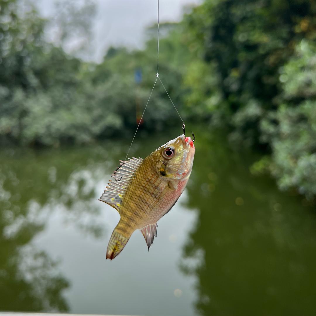 海底捕捞手@抖音