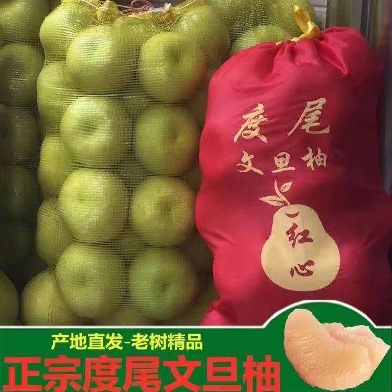 度尾老树文旦柚优质果