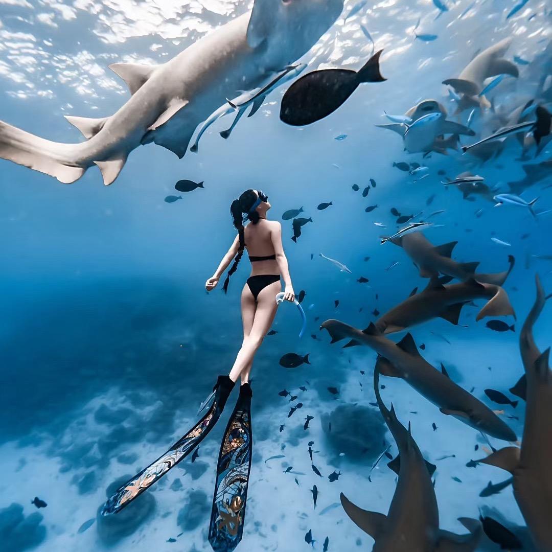 美人鱼潜水自由潜肺潜全国招生