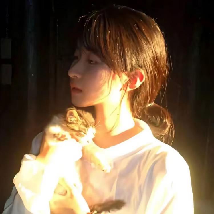 博博麻麻