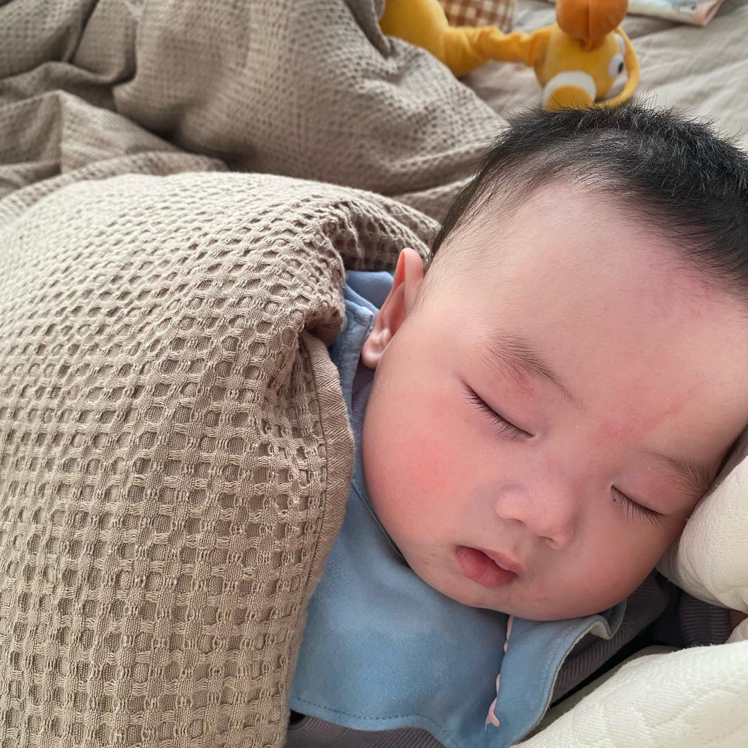 柚柚不吃柚