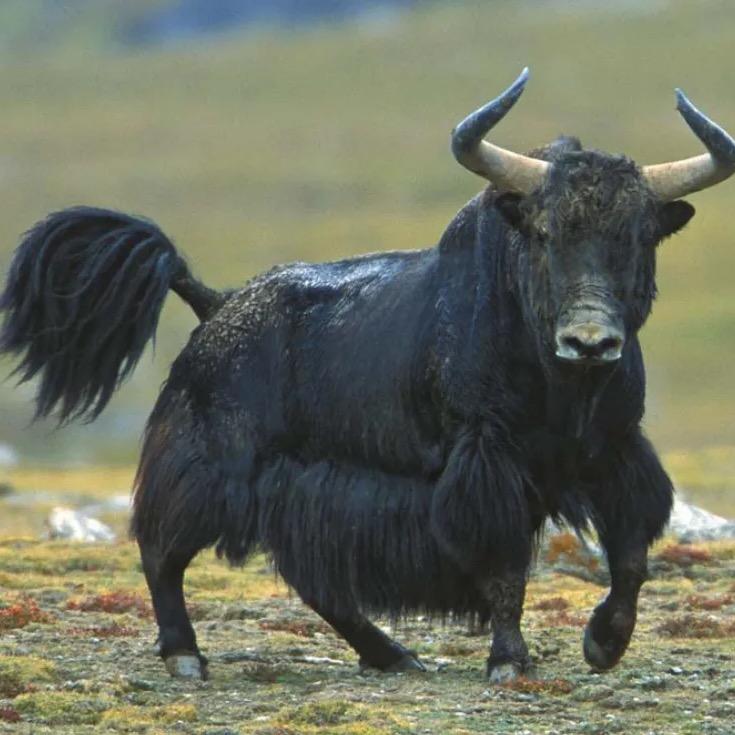 奋斗明天会更好