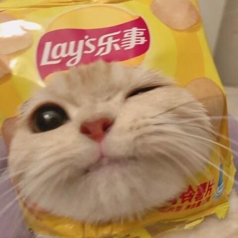 跳不过梁的joker