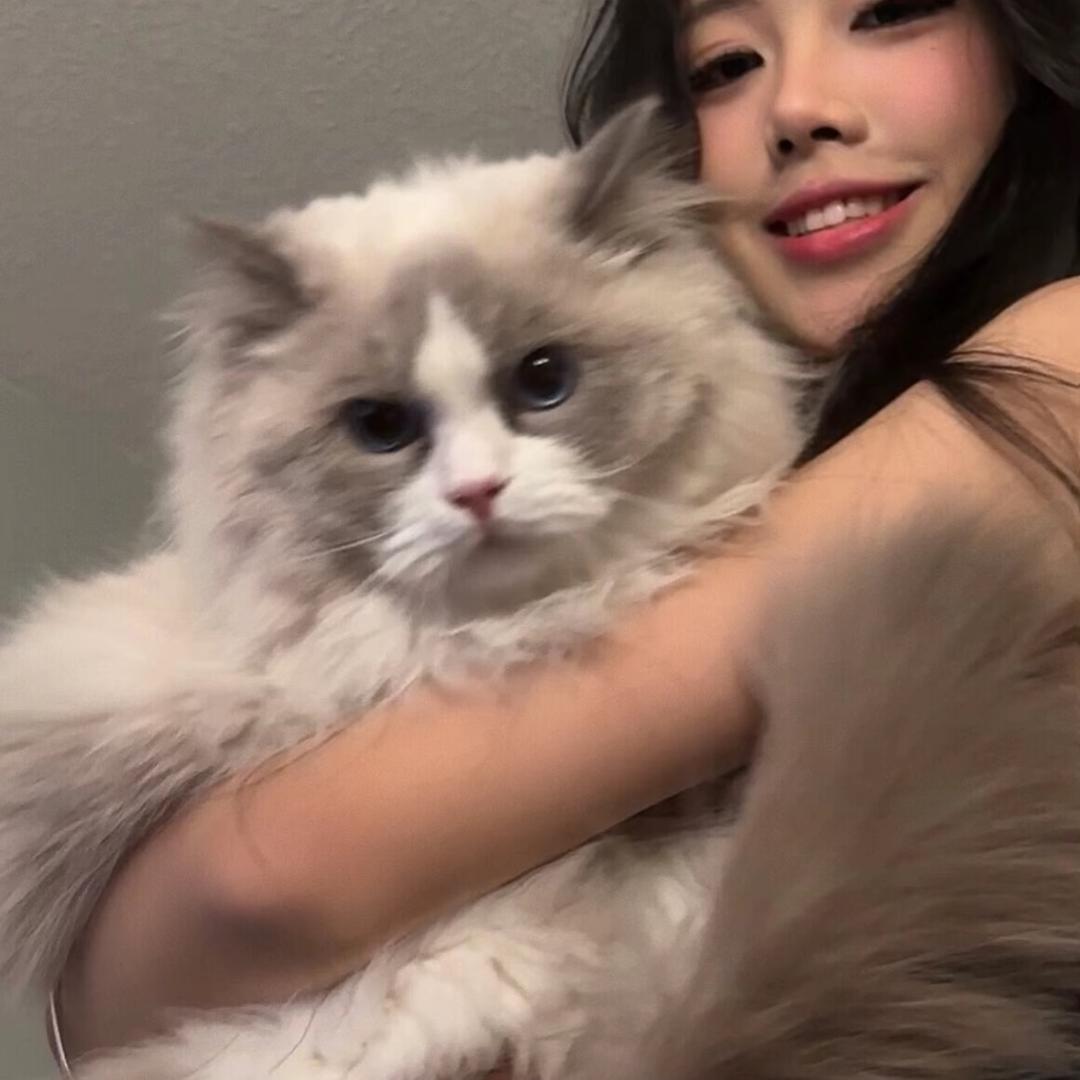 瀛xin.