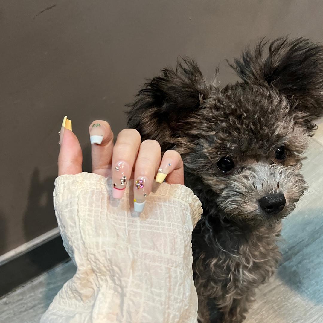 蔡蔡美甲分享